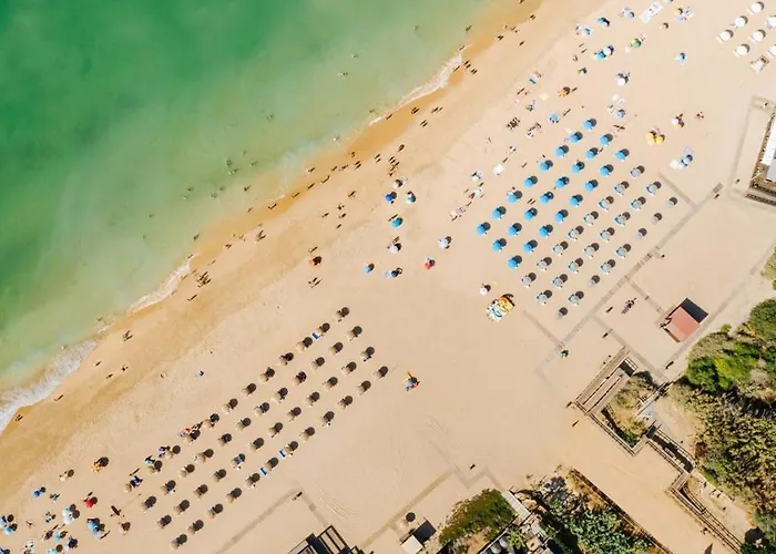 Oceanfront Luxury Villa With Private Beach Access Pool & Jacuzzi Walk To Town Sleeps 10 阿尔布费拉